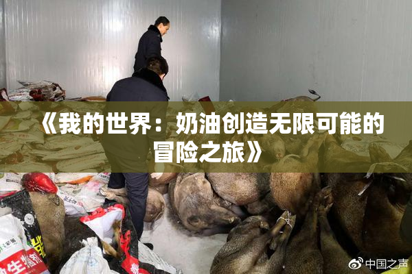 《我的世界：奶油创造无限可能的冒险之旅》