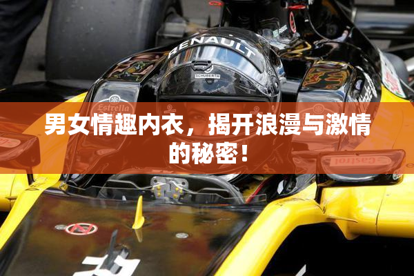 男女情趣内衣，揭开浪漫与激情的秘密！