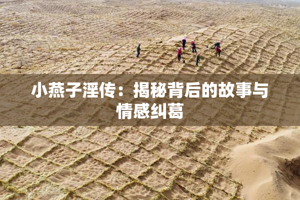 小燕子淫传：揭秘背后的故事与情感纠葛