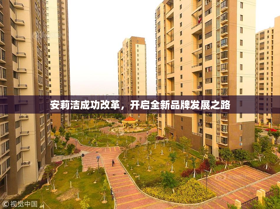 安莉洁成功改革，开启全新品牌发展之路