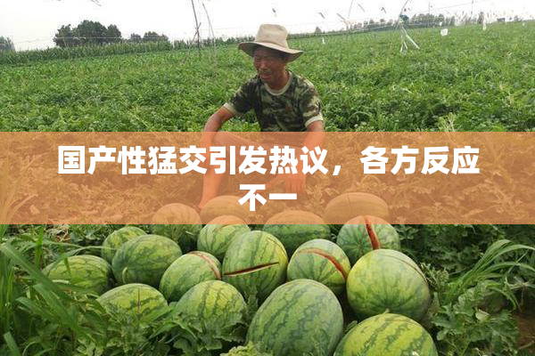 国产性猛交引发热议，各方反应不一