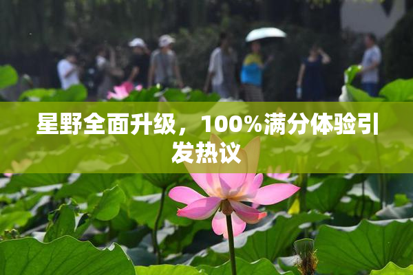 星野全面升级，100%满分体验引发热议