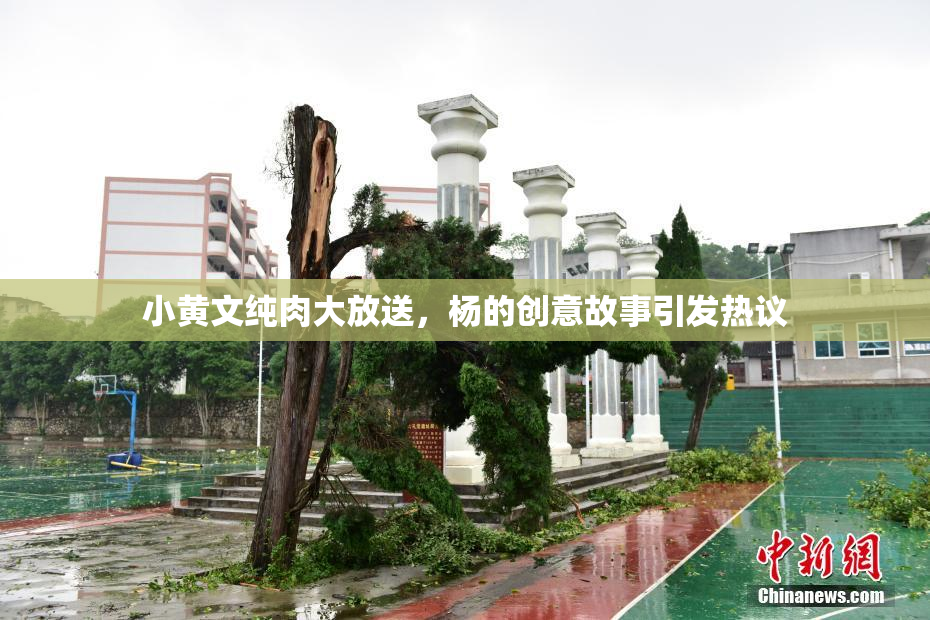 小黄文纯肉大放送，杨的创意故事引发热议