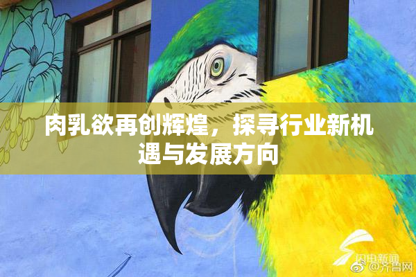 肉乳欲再创辉煌，探寻行业新机遇与发展方向