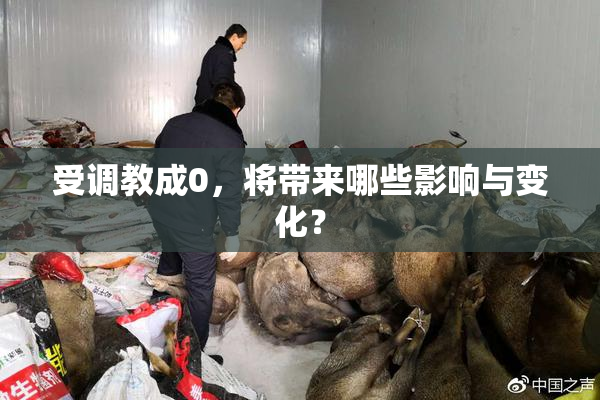 受调教成0，将带来哪些影响与变化？