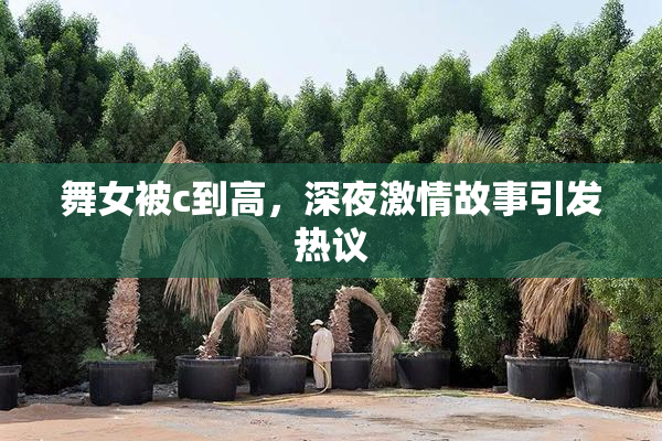 舞女被c到高，深夜激情故事引发热议