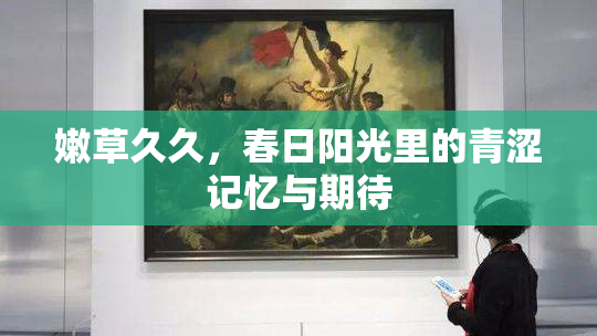 嫩草久久，春日阳光里的青涩记忆与期待