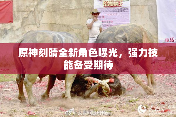 原神刻晴全新角色曝光，强力技能备受期待