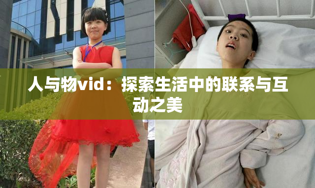 人与物vid：探索生活中的联系与互动之美