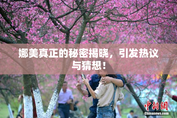 娜美真正的秘密揭晓，引发热议与猜想！