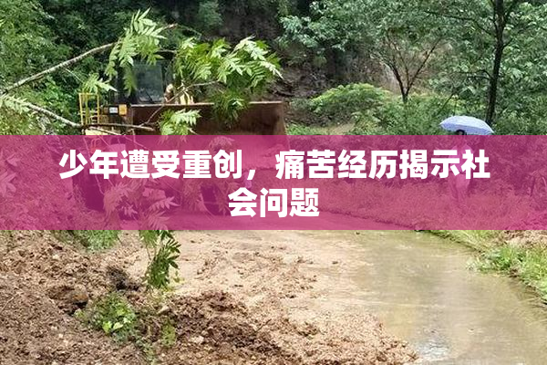 少年遭受重创，痛苦经历揭示社会问题