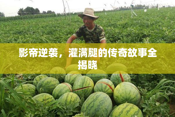 影帝逆袭，灌满腿的传奇故事全揭晓