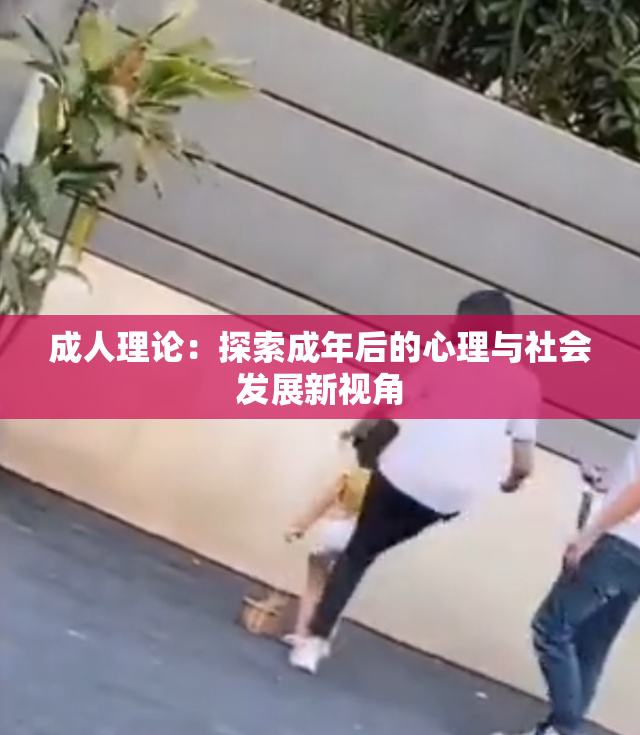 成人理论：探索成年后的心理与社会发展新视角