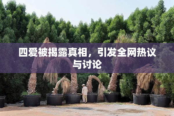四爱被揭露真相，引发全网热议与讨论