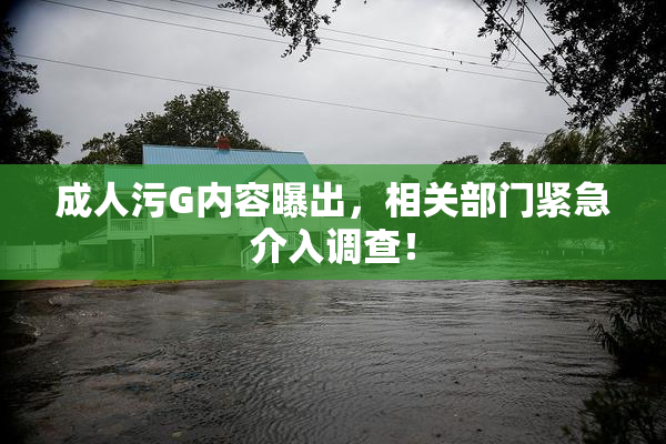 成人污G内容曝出，相关部门紧急介入调查！