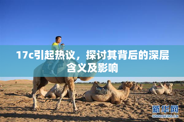 17c引起热议，探讨其背后的深层含义及影响