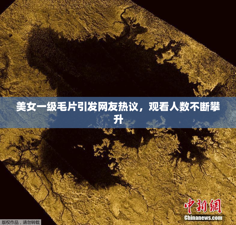 美女一级毛片引发网友热议，观看人数不断攀升