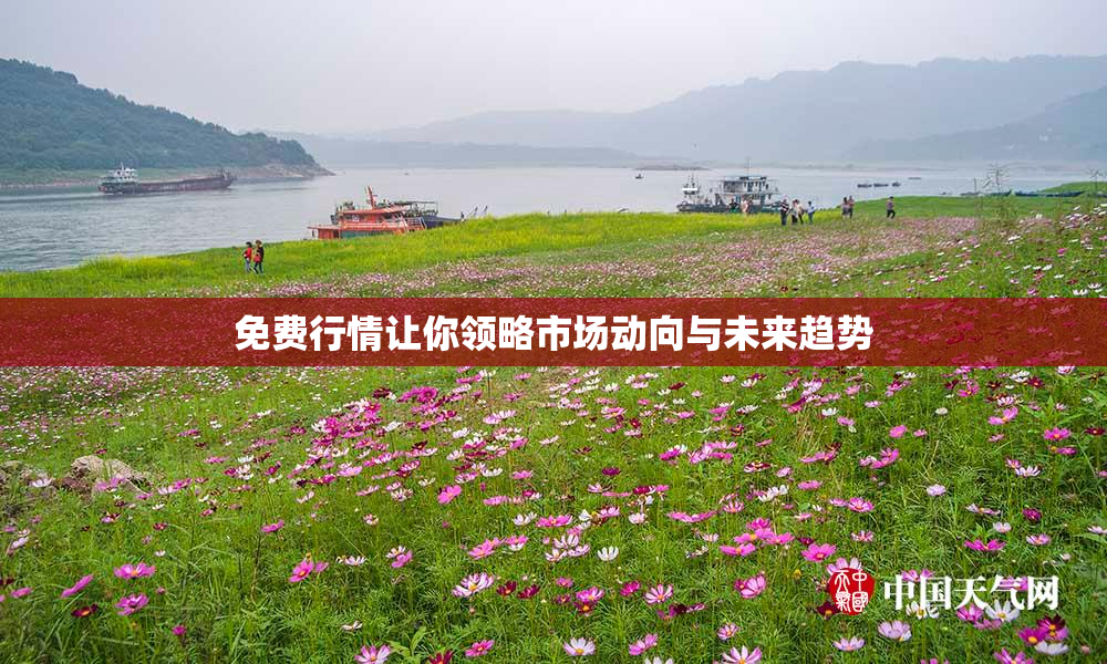 免费行情让你领略市场动向与未来趋势