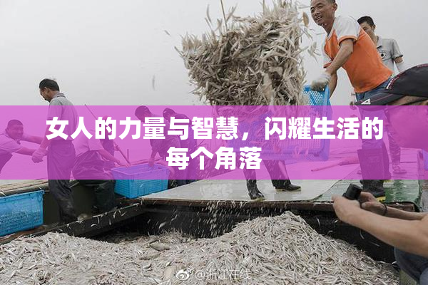 女人的力量与智慧，闪耀生活的每个角落