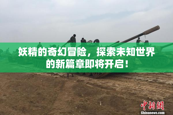 妖精的奇幻冒险，探索未知世界的新篇章即将开启！