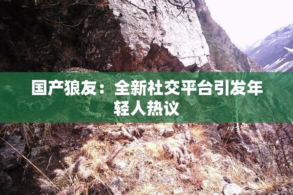 国产狼友：全新社交平台引发年轻人热议