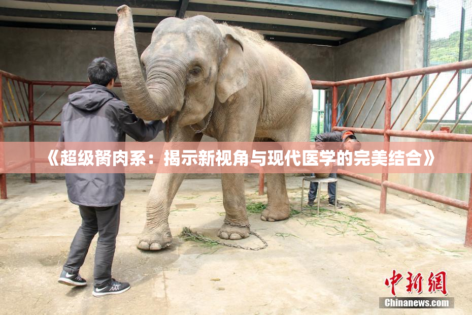 《超级胬肉系：揭示新视角与现代医学的完美结合》
