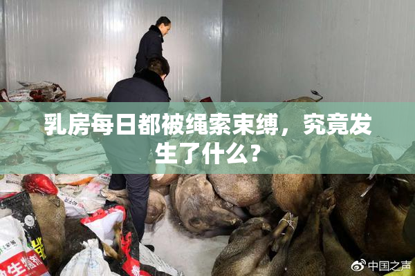 乳房每日都被绳索束缚，究竟发生了什么？