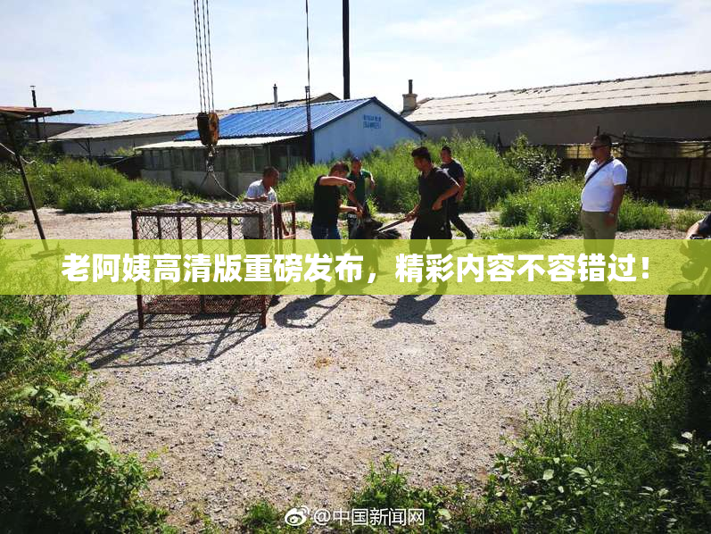 老阿姨高清版重磅发布，精彩内容不容错过！