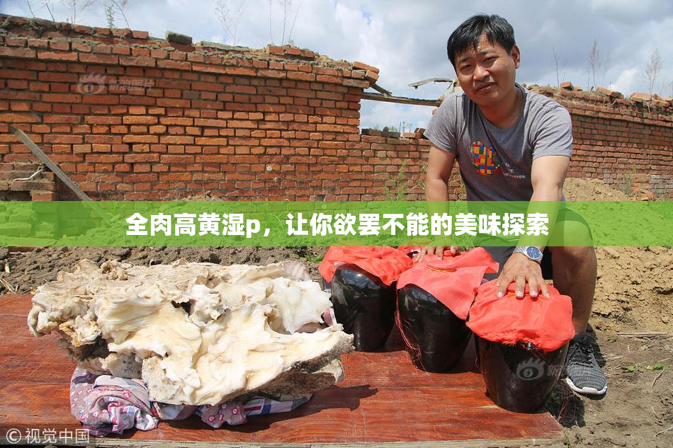 全肉高黄湿p，让你欲罢不能的美味探索