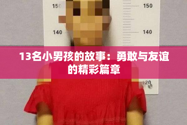 13名小男孩的故事：勇敢与友谊的精彩篇章