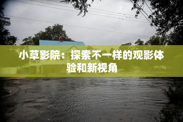 小草影院：探索不一样的观影体验和新视角