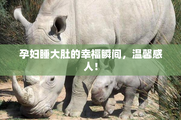 孕妇睡大肚的幸福瞬间，温馨感人！