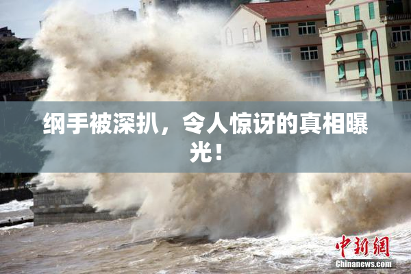 纲手被深扒，令人惊讶的真相曝光！