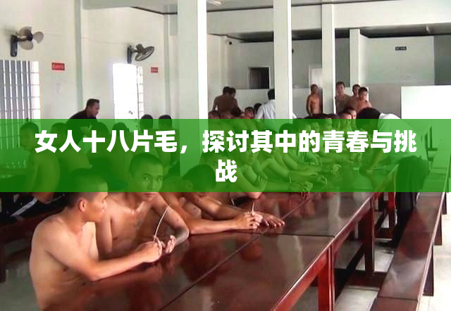女人十八片毛，探讨其中的青春与挑战