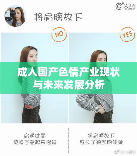 成人国产色情产业现状与未来发展分析