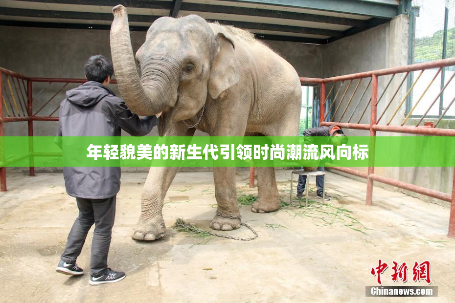 年轻貌美的新生代引领时尚潮流风向标