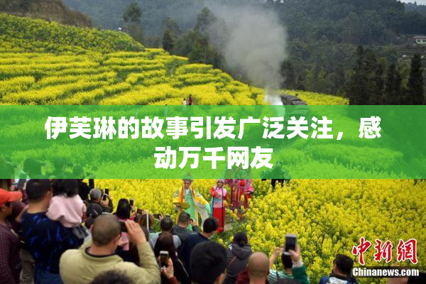 伊芙琳的故事引发广泛关注，感动万千网友