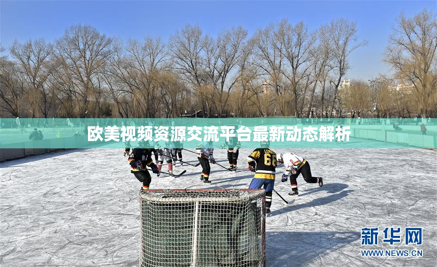 欧美视频资源交流平台最新动态解析
