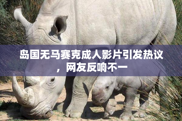 岛国无马赛克成人影片引发热议，网友反响不一