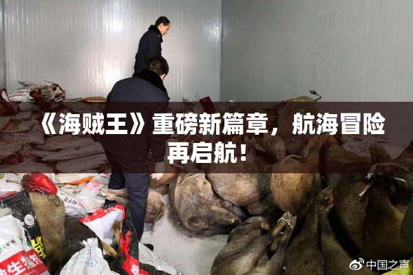 《海贼王》重磅新篇章，航海冒险再启航！