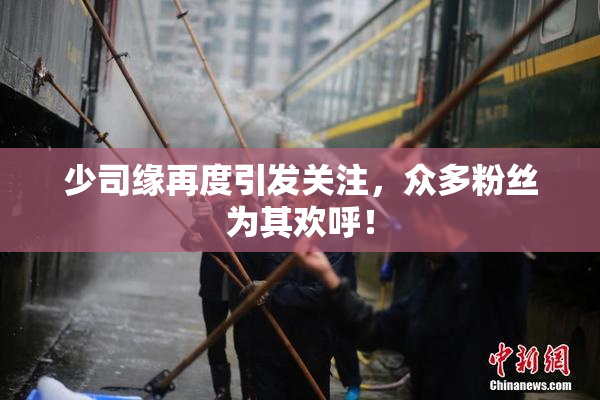 少司缘再度引发关注，众多粉丝为其欢呼！