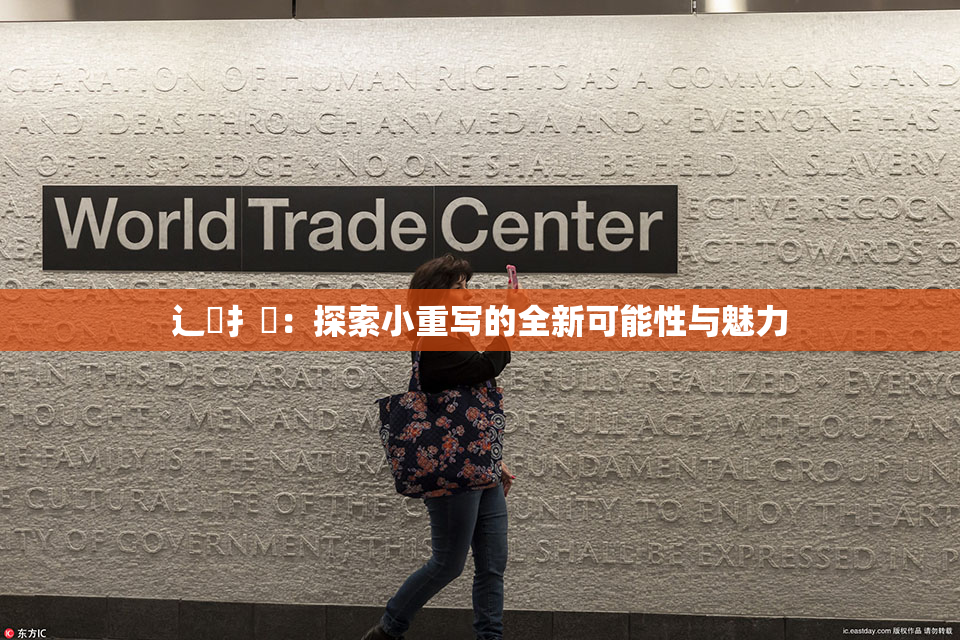 辶喿扌畐：探索小重写的全新可能性与魅力