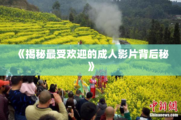 《揭秘最受欢迎的成人影片背后秘》
