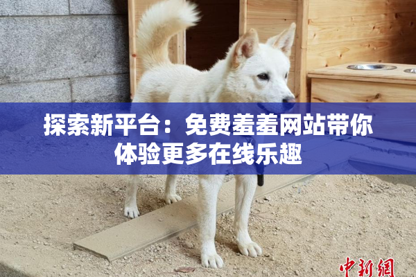 探索新平台：免费羞羞网站带你体验更多在线乐趣