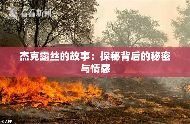 杰克露丝的故事：探秘背后的秘密与情感