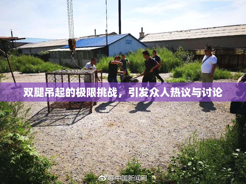 双腿吊起的极限挑战，引发众人热议与讨论
