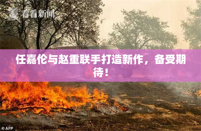 任嘉伦与赵重联手打造新作，备受期待！