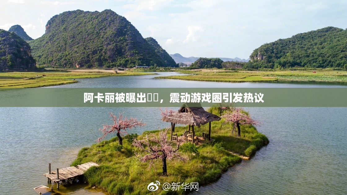 阿卡丽被曝出❌‌，震动游戏圈引发热议