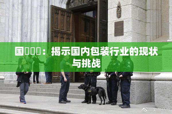 国產梱綁：揭示国内包装行业的现状与挑战