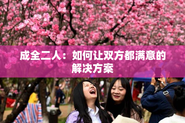 成全二人：如何让双方都满意的解决方案